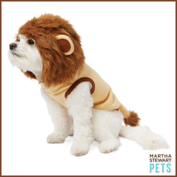 an itty bitty lion - see more CUTE dogs in costumes at Living Vintage