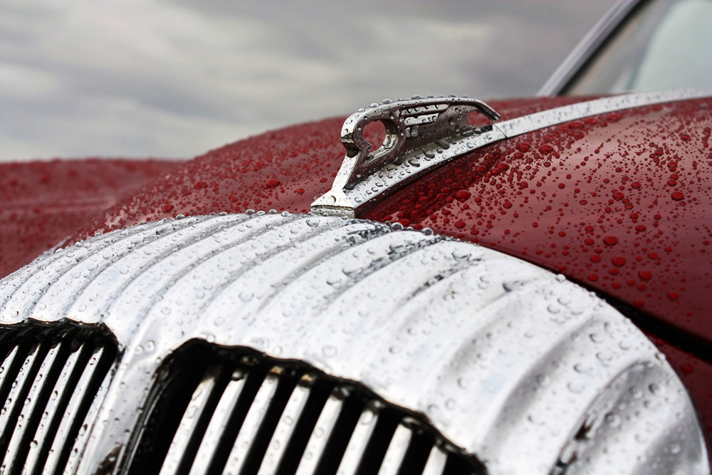 such a pretty, rainy day photo of a well-kept ride -- one of 8 picks for this week's Friday Favorites