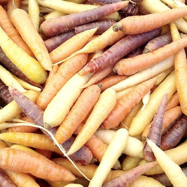 the pretty variety of carrots -- one of 8 picks for this week's Friday Favorites