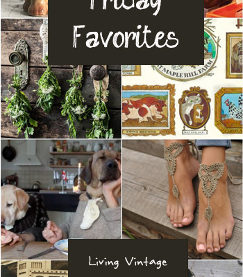 Friday Favorites #78