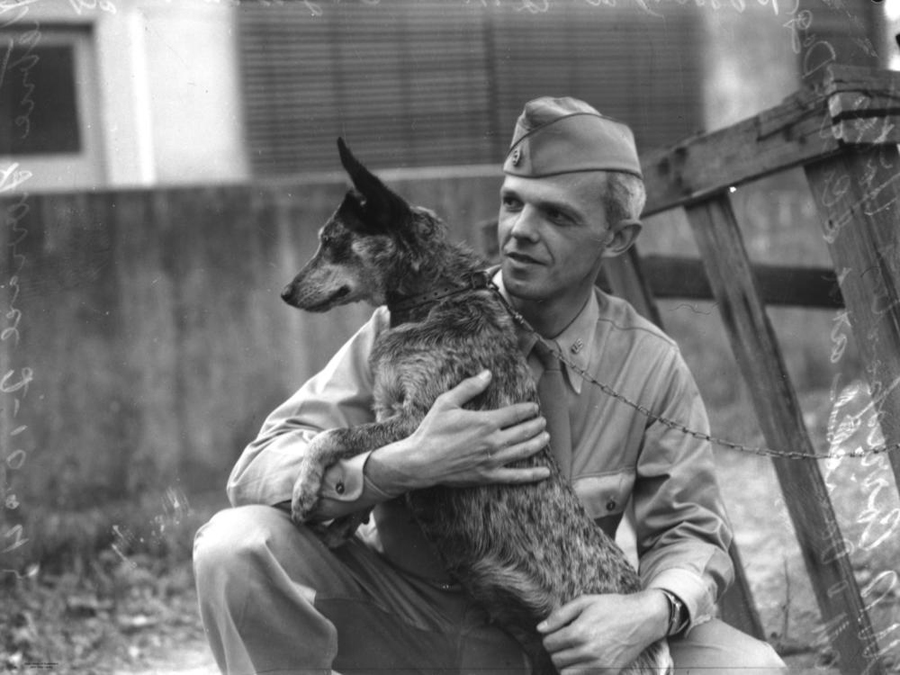 a U.S. soldier with his cattle dog during WW2