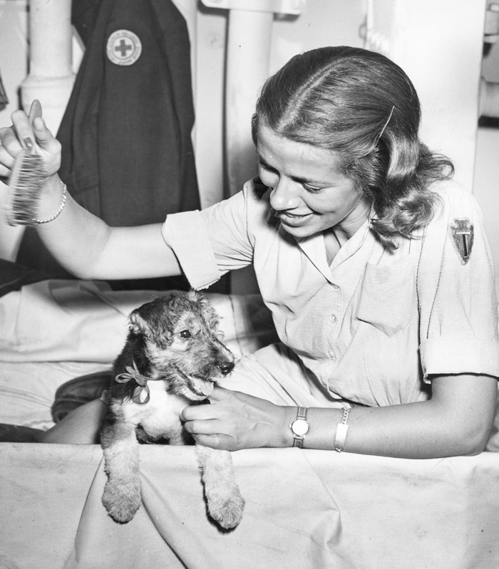 a female soldier and her canine companion in WW2