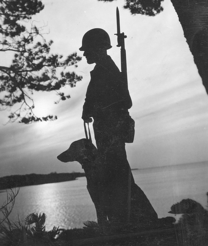 a gorgeous image of a WW2 soldier and his canine companion