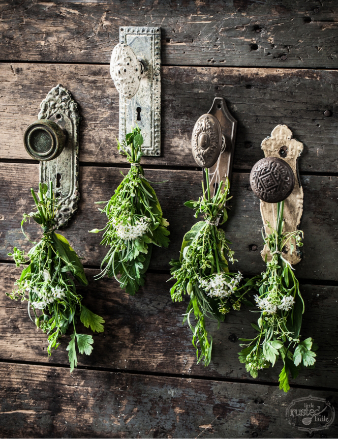 drying herbs: another way to repurpose old doorknobs | one of 8 picks for this week's Friday Favorites