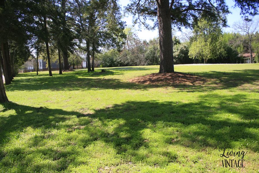 Our lot is almost one acre in size with gorgeous mature trees.