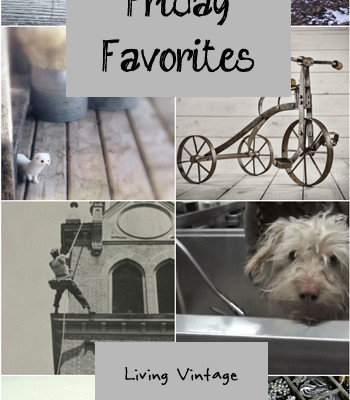 Friday Favorites #115