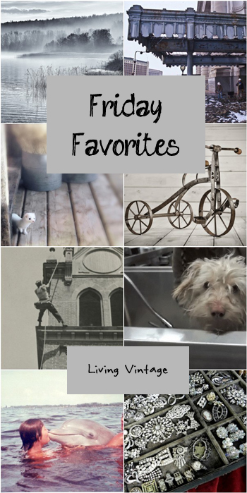 Friday Favorites #115 @ Living Vintage