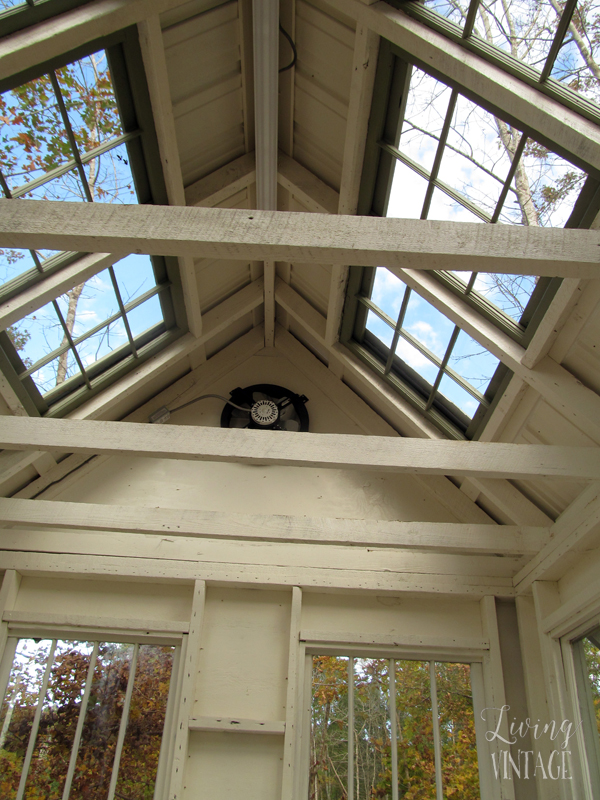 reclaimed windows in the roof of this cute little greenhouse - see more photos @ Living Vintage