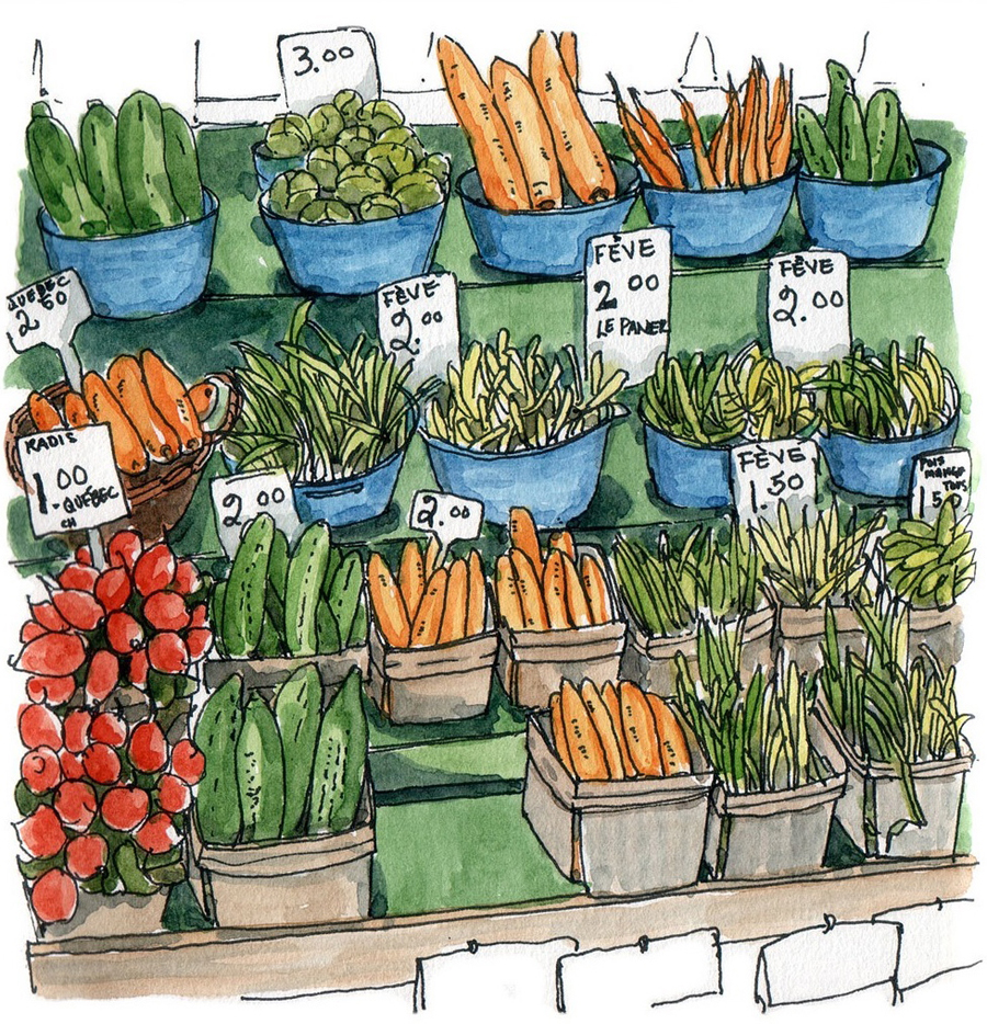 a charming illustration of fresh vegetables - one of 8 picks for this week's Friday Favorites