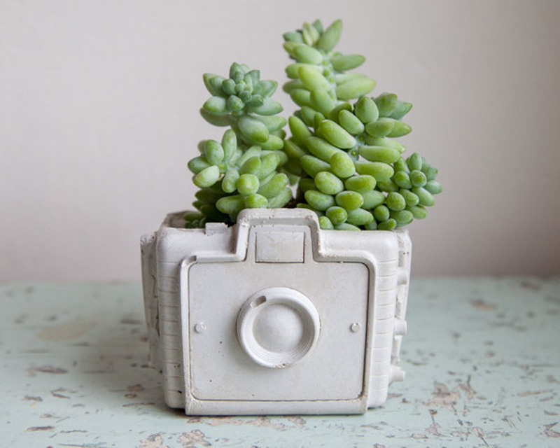an adorable concrete planter - one of 8 picks for this week's Friday Favorites