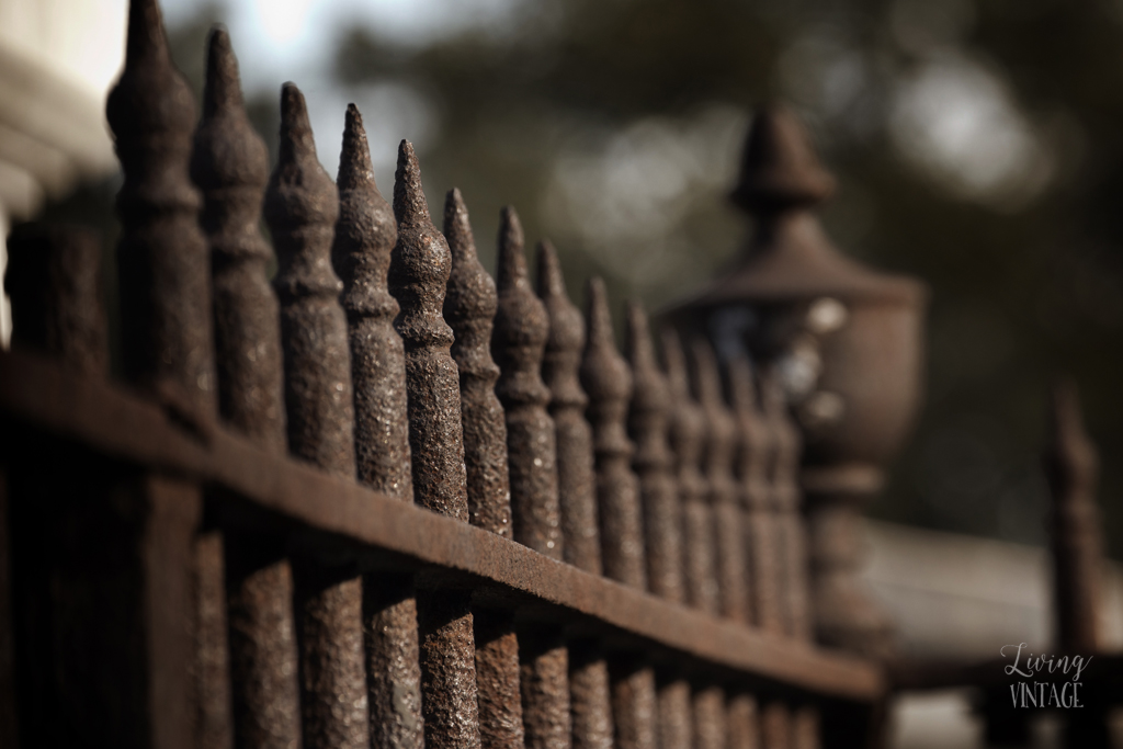 the beautiful iron fences within the cemeteries in New Orleans