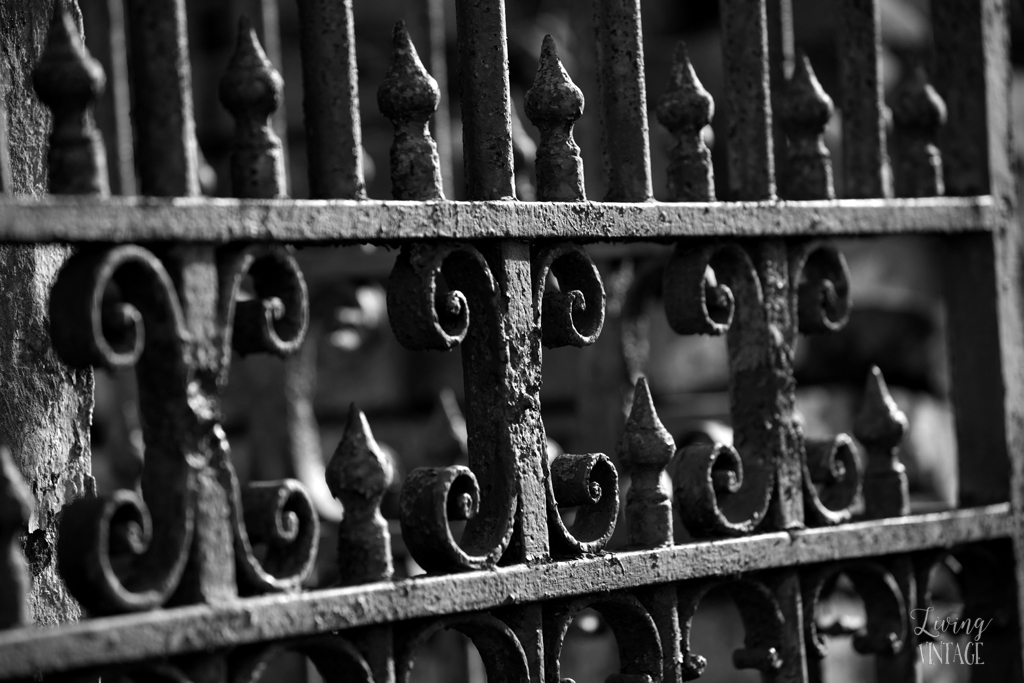 the beautiful iron fences within the cemeteries in New Orleans