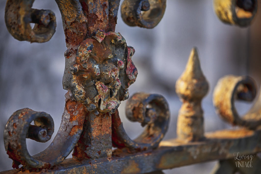 detail of one of the beautiful iron fences within the cemeteries in New Orleans
