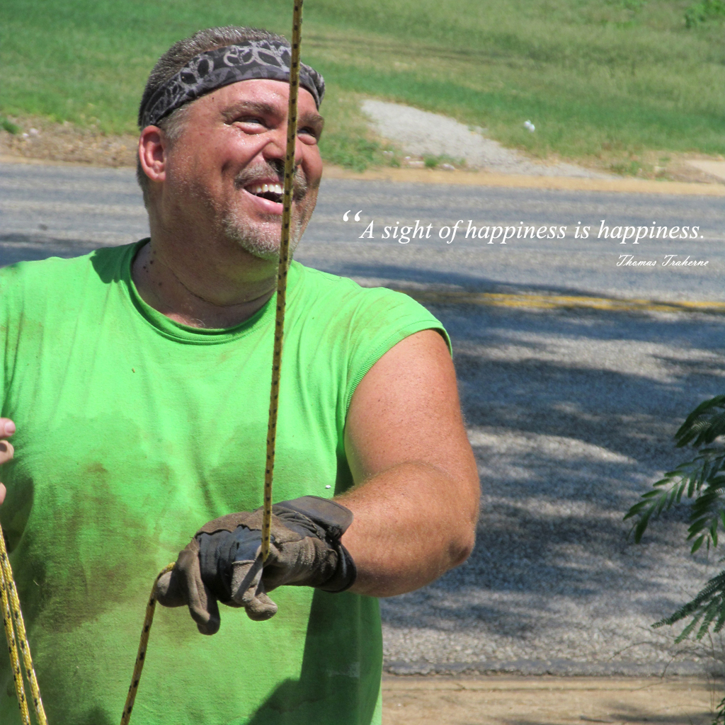 A sight of happiness is happiness - it's 1 of 52 quotes I'll be sharing this year