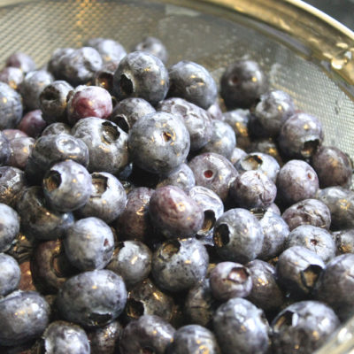 Blueberries, Cleaned and Sugared (#2)