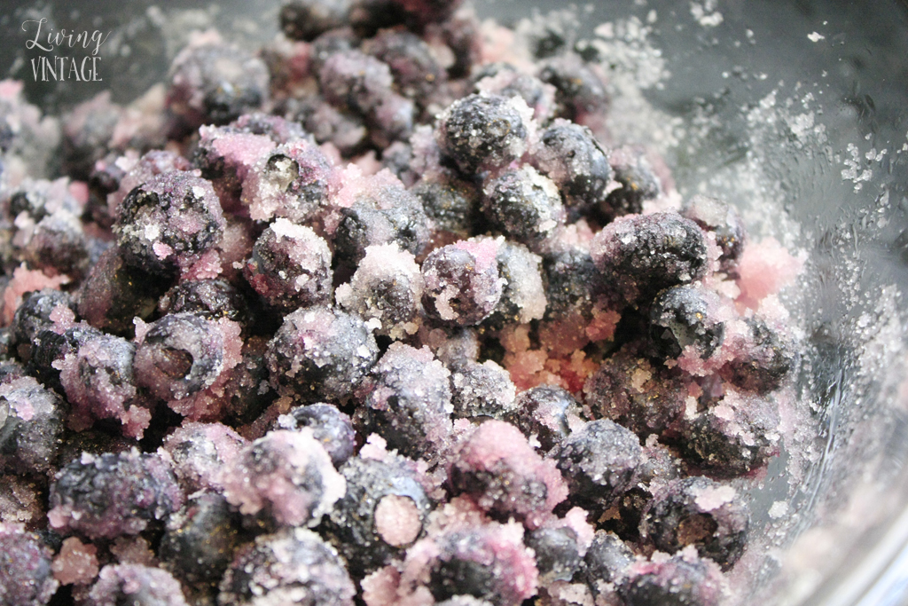 blueberries with the sugar coating
