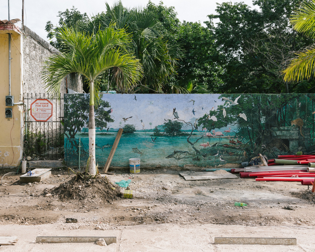 a pretty mural in Mexico - 1 of 8 picks for this week's Friday Favorites