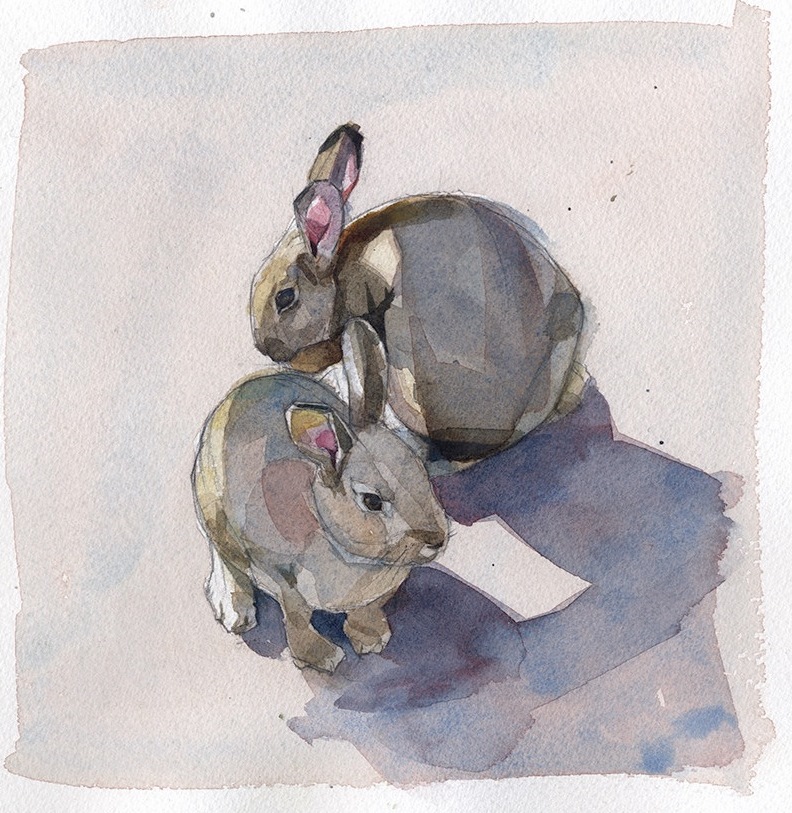 adorable bunnies - one of 8 picks for this week's Friday Favorites