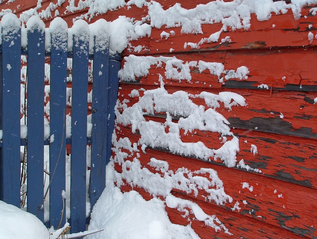 the colors of the flag in winter - one of 8 picks for this week's Friday Favorites