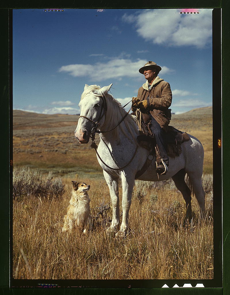 a shepherd and his faithful companions - 1 of 8 picks for this week's Friday Favorites