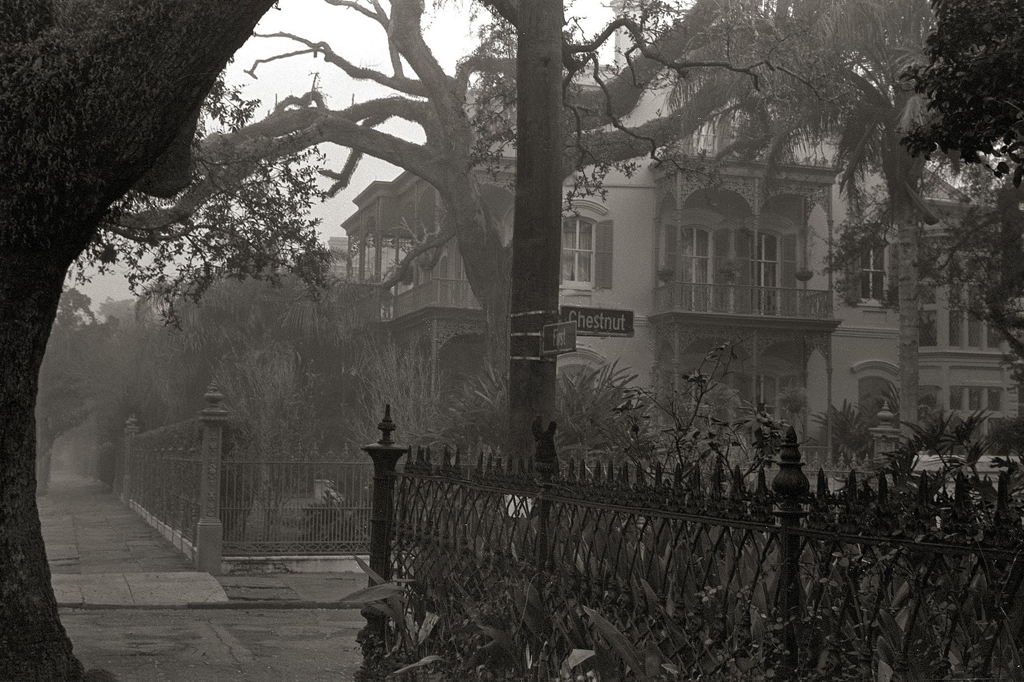 a foggy morning memory of New Orleans - 1 of 8 picks for this week's Friday Favorites