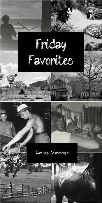 Friday Favorites #111 @ Living Vintage