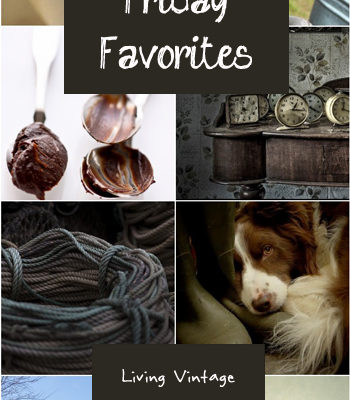 Friday Favorites #114