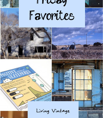 Friday Favorites #106