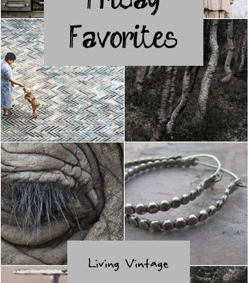 Friday Favorites #108