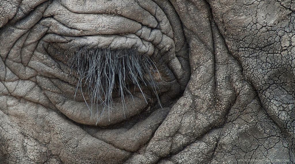 a beauty with long eyelashes - 1 of 8 picks for this week's Friday Favorites