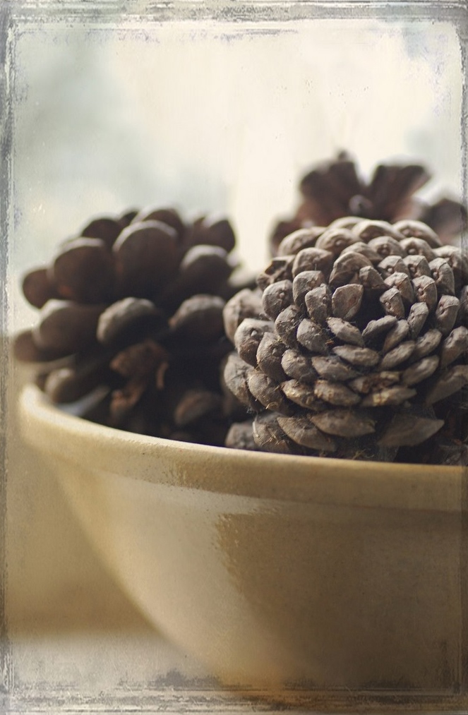 a bowl of encased seeds - 1 of 8 picks for this week's Friday Favorites