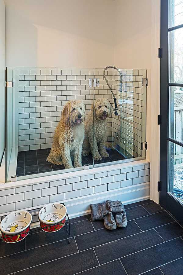 a pretty darn wonderful dog bath - 1 of 8 picks for this week's Friday Favorites