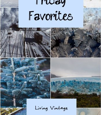 Friday Favorites #128