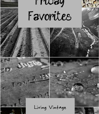 Friday Favorites #123