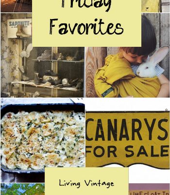 Friday Favorites #116