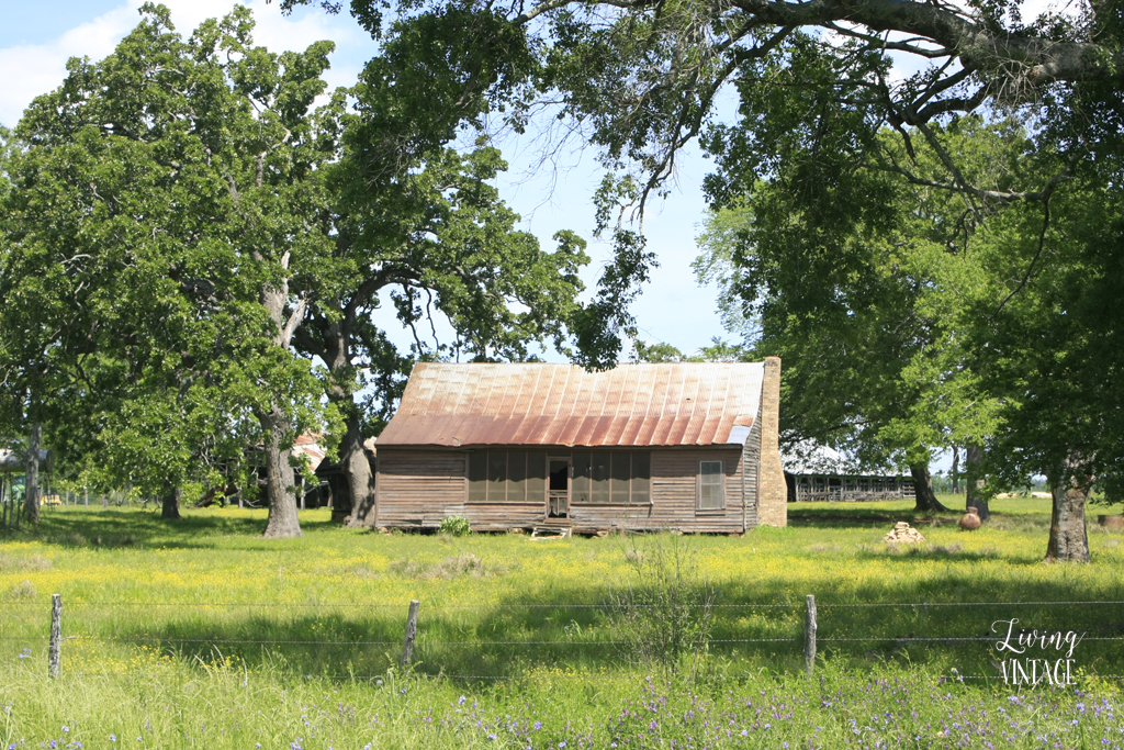 abandoned near Alto