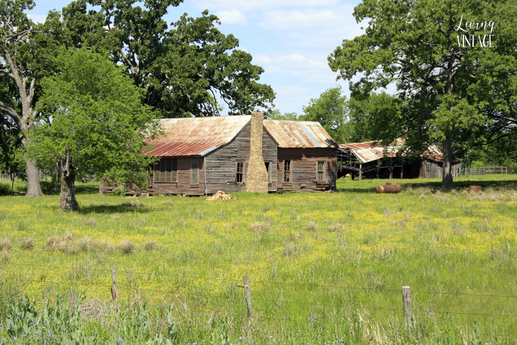 abandoned near Alto