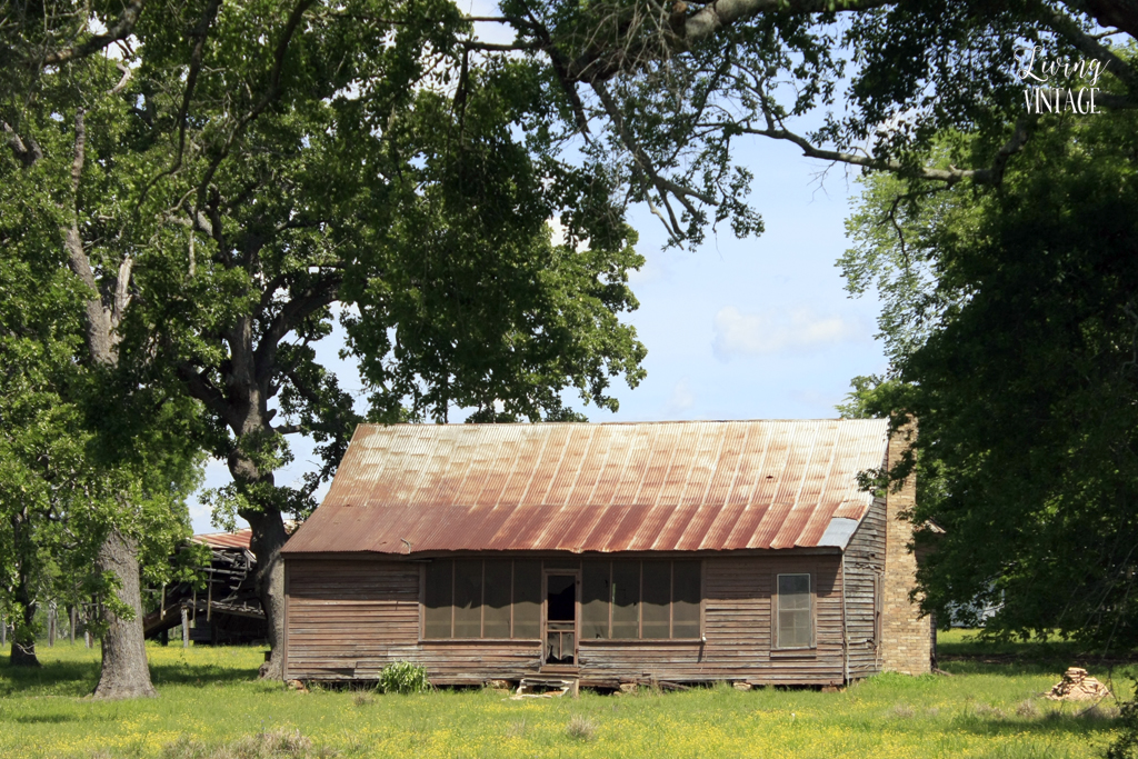 abandoned near Alto