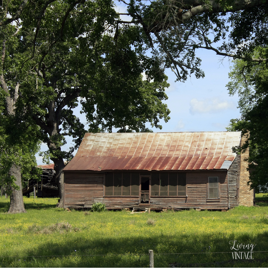 abandoned near Alto