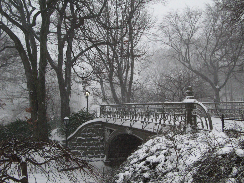 a beautiful shot of Central Park in winter - 1 of 8 picks for this week's Friday Favorites