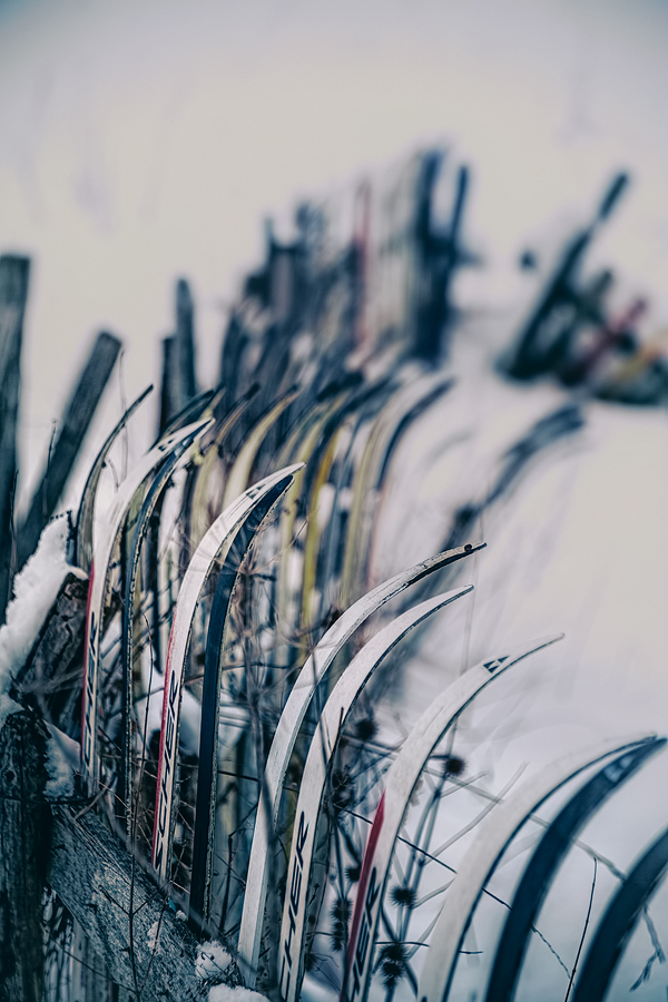 a fun alpine fence - it's 1 of 8 picks for this week's Friday Favorites