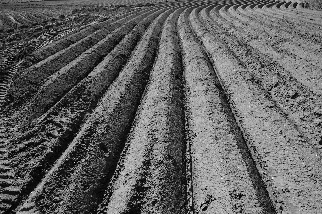 beautiful repetition - 1 of 8 picks for this week's Friday Favorites
