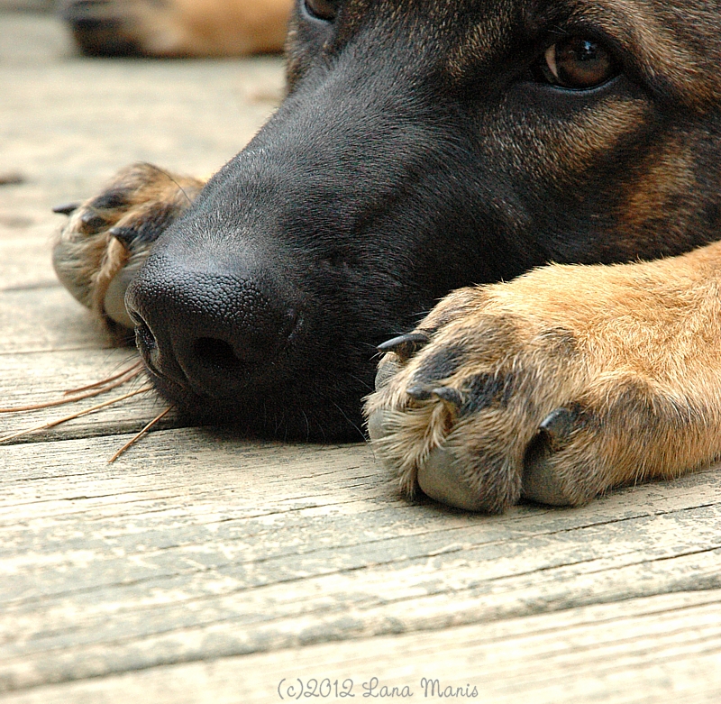 sweet boy - 1 of 8 picks for this week's Friday Favorites