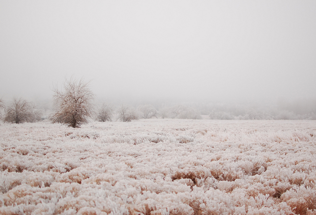 frozen Oklahoma - 1 of 8 picks for this week's Friday Favorites