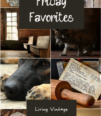 Friday Favorites #134