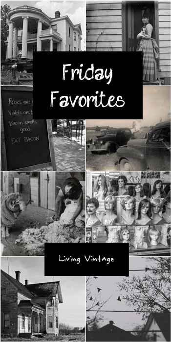 Friday Favorites 138 at Living Vintage. Hop on over and explore a bit!
