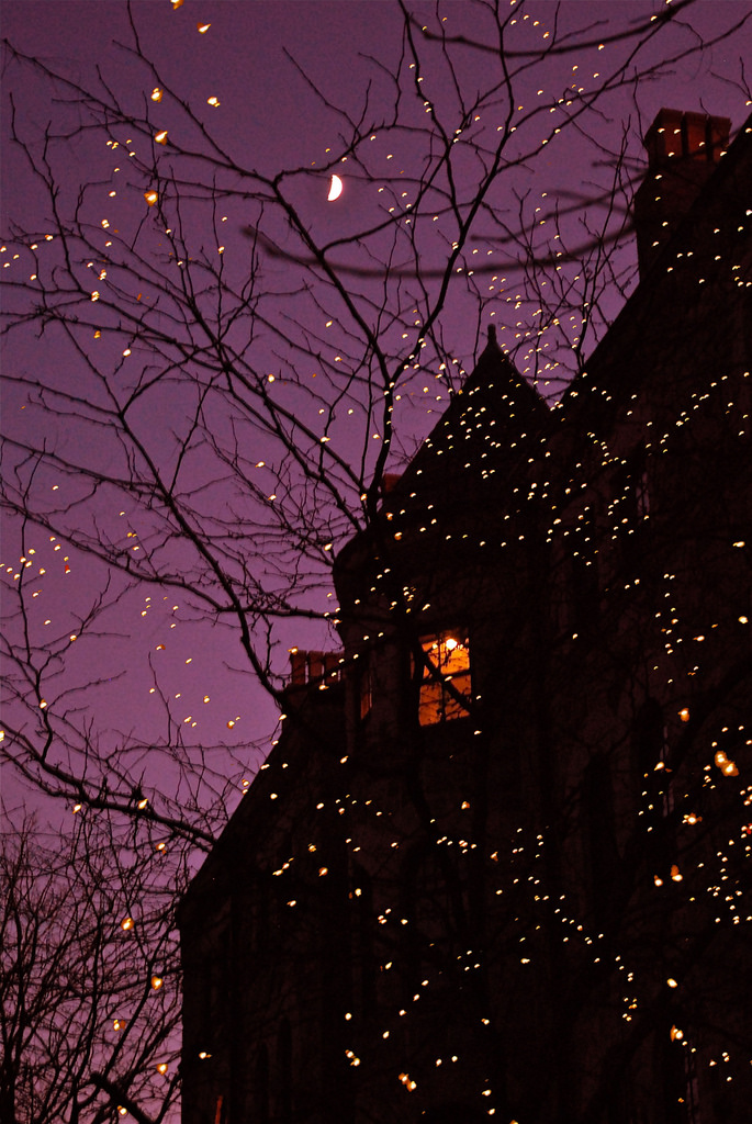 It was a magical night ...