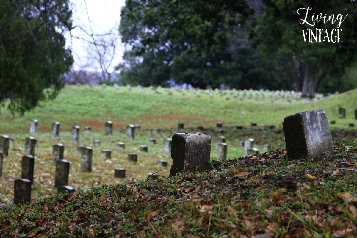 the graveyards at Vicksburg National Military Park