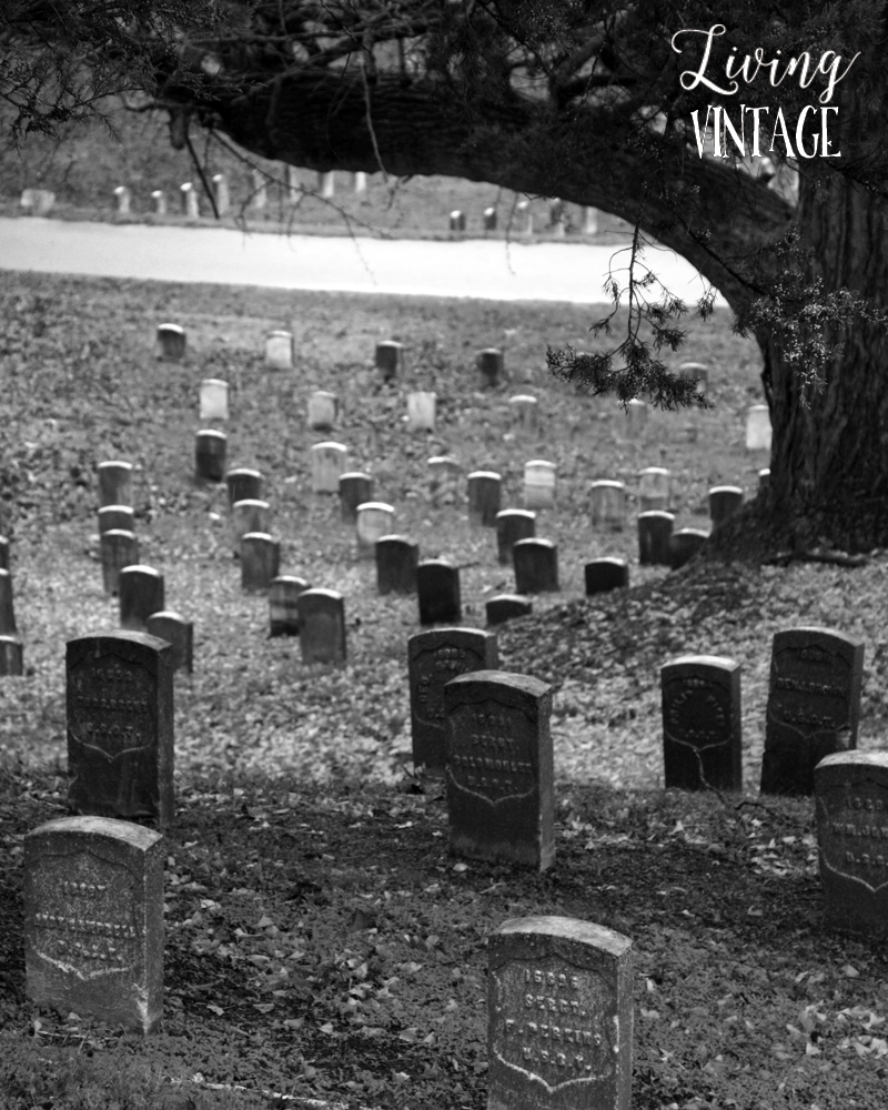 the graveyards at Vicksburg National Military Park