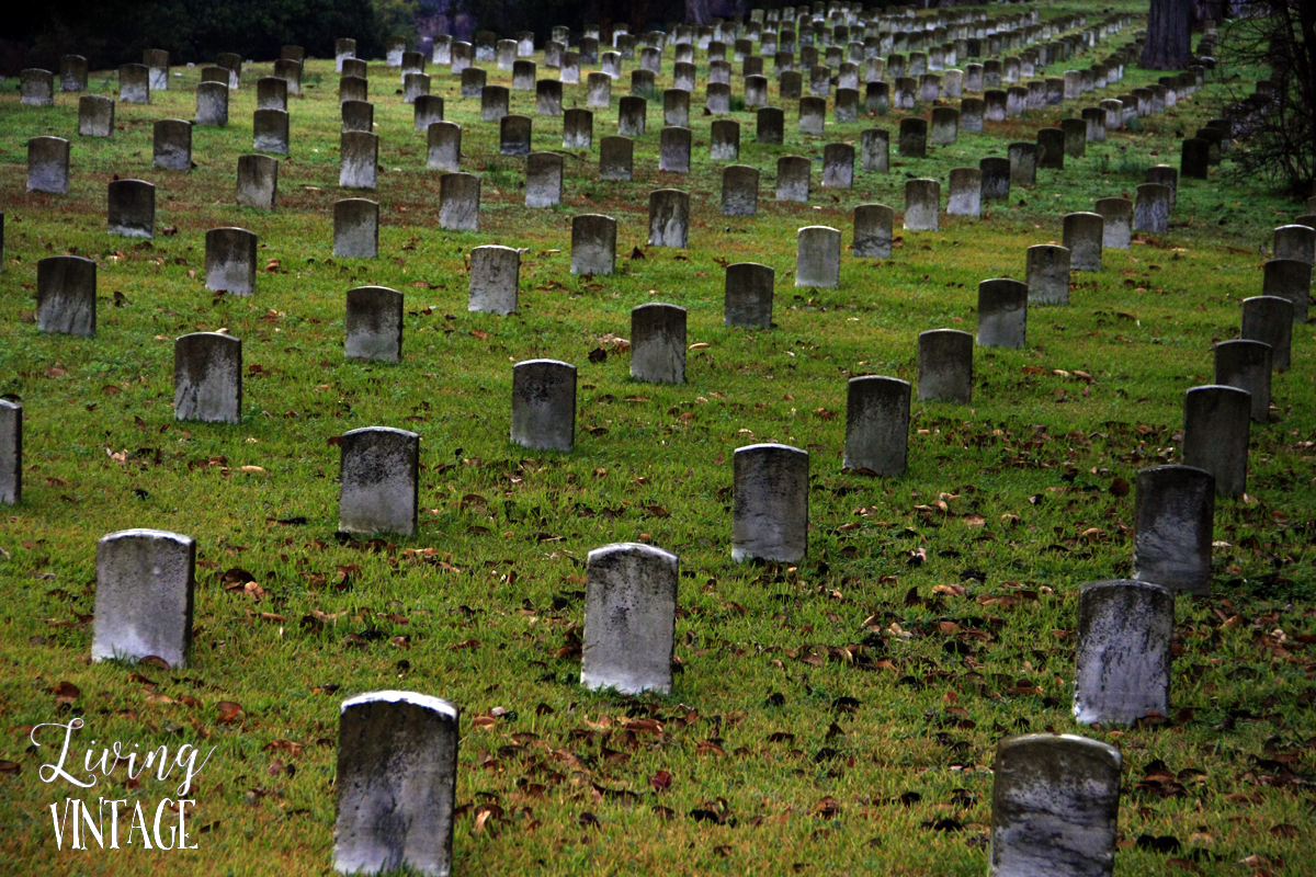 the graveyards at Vicksburg National Military Park